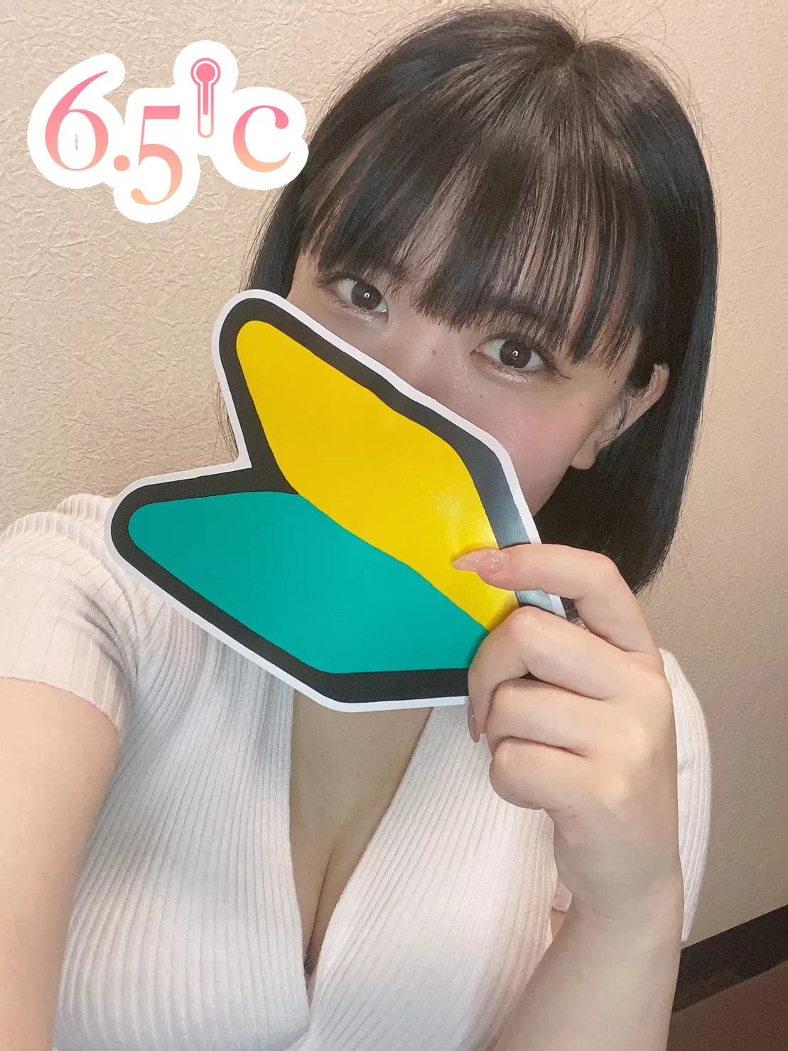 日向りこのプロフィール写真